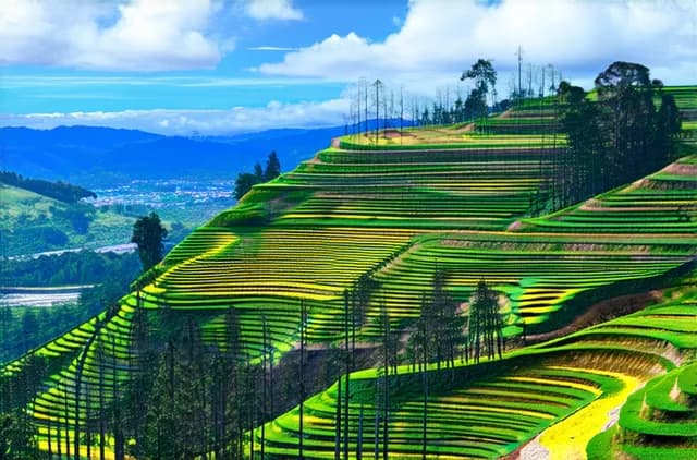 20 Dalat Hidden Gems You Must Explore