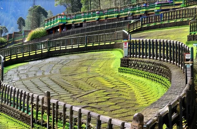 15 Hidden Gems in Darjeeling You Must Explore