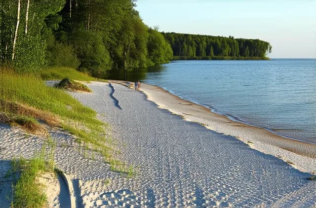 15 Hidden Beaches Near Gdańsk You Must Visit