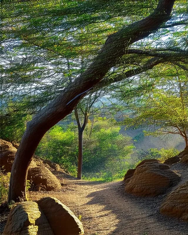 15 Hidden Natural Areas in Johannesburg You Must Visit