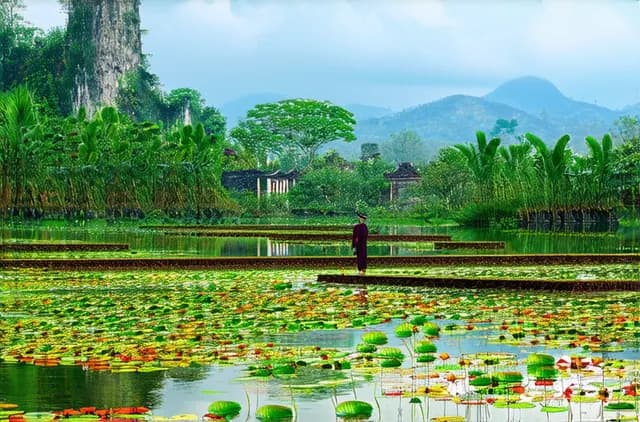 15 Hidden Natural Attractions in Hue You Must Visit