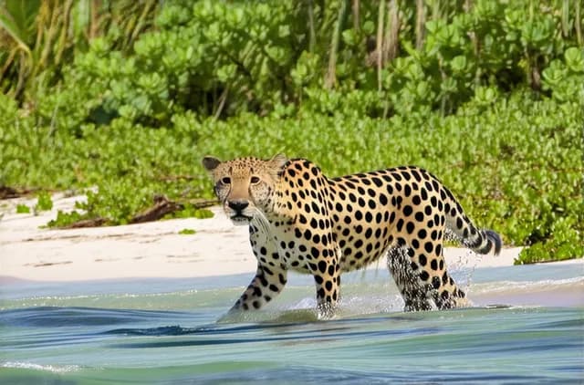 15 Less-Known Wildlife Encounters in Puerto Escondido