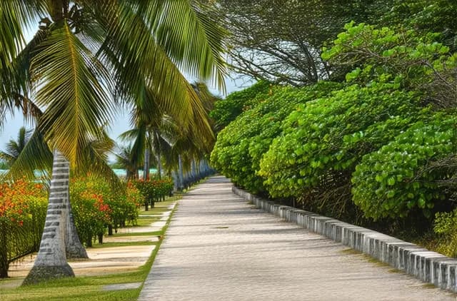 Discover Puducherry’s Best Off-the-Beaten-Path Attractions