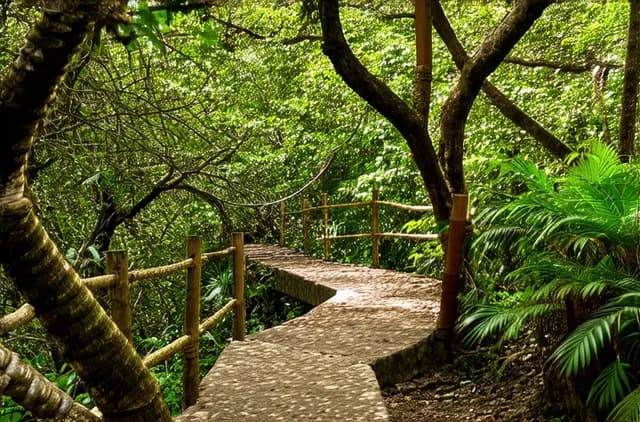 Discover Puerto Vallarta’s Secret Hiking Trails