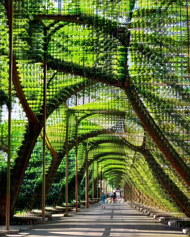 15 San José Hidden Gems You Need to Explore