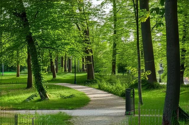 15 Secret Parks in Wrocław You Must Explore