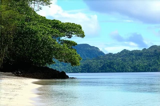 Discover Secret Spots in Puerto Princesa