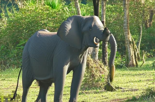 Discover Secret Wildlife Spots in Mombasa