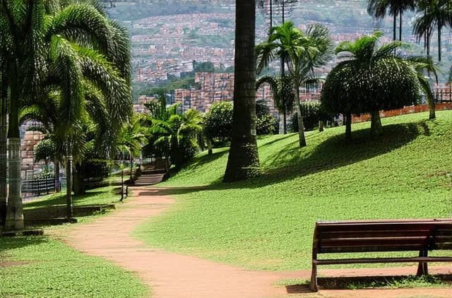 Discover Tegucigalpa’s Hidden Parks You Must Visit