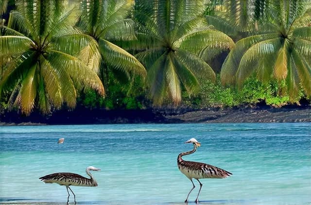 Discover Trinidad’s Best Hidden Gems and Local Secrets