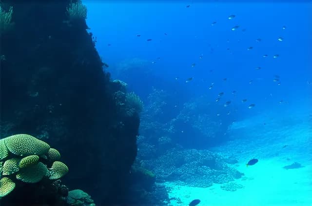 Discover Unexplored Diving Spots in Puerto Galera