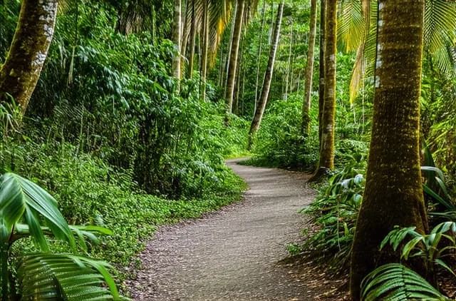 15 Unexplored Nature Trails in Rincón
