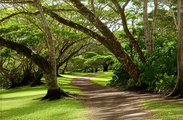 15 Unexplored Parks in Kailua You Must Visit