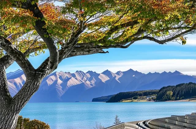10 Unexplored Viewpoints of Wanaka You Must Visit