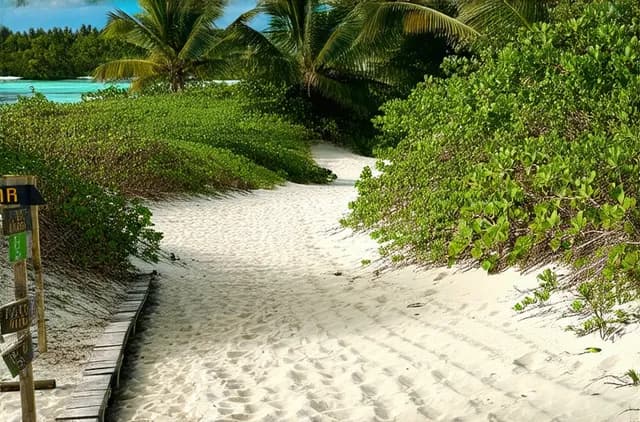 10 Unexplored Walking Trails in Gili Trawangan