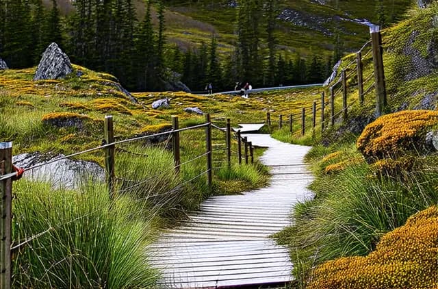 10 Ushuaia Hidden Hiking Trails You Must Explore