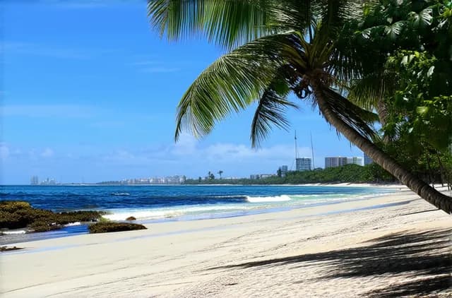 15 Veracruz City Hidden Beaches to Explore