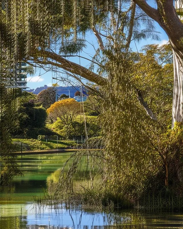 10 Auckland Hidden Parks and Reserves to Explore