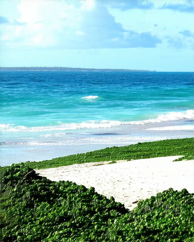 15 Hidden Beaches in Dar es Salaam You Must Visit