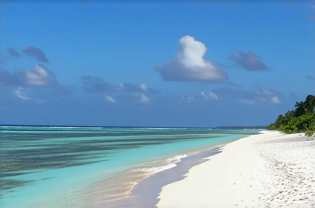 10 Diani Beach Hidden Wildlife Spots to Explore