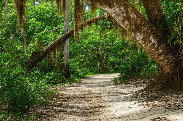 10 Hidden Natural Parks in Holguín to Discover