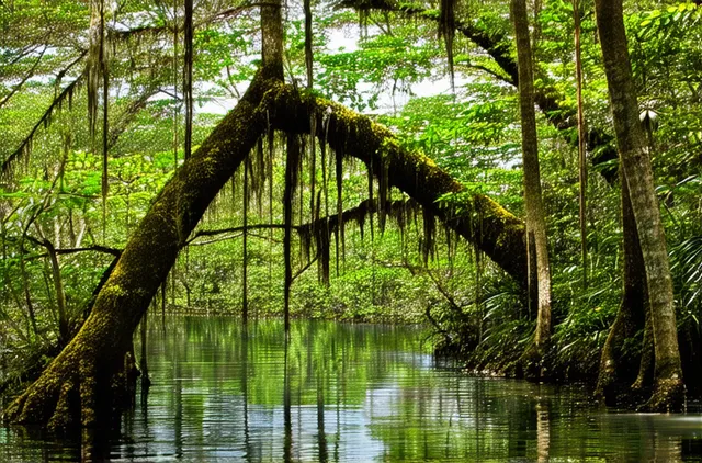 Discover Hidden Natural Parks in Veracruz City