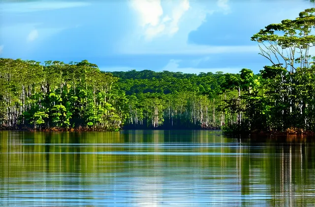 Discover Hidden Natural Reserves in Manaus
