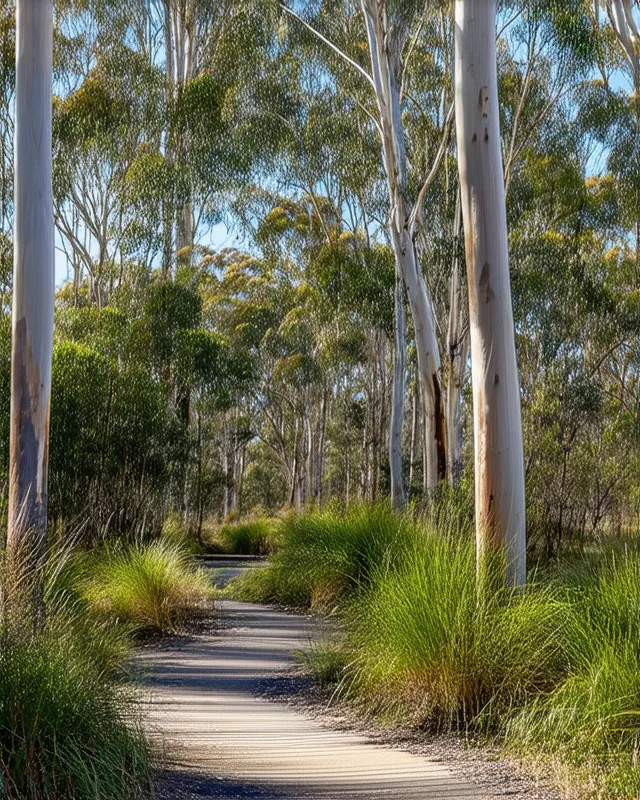Discover Hidden Natural Reserves in Melbourne
