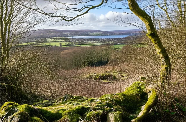 15 Hidden Nature Spots in Derry You Must Explore