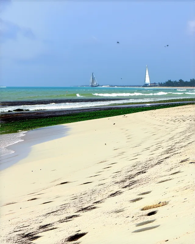 10 Secret Beaches in Chennai You Must Explore