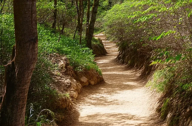 10 Secret Hiking Trails in Las Palmas You Must Explore