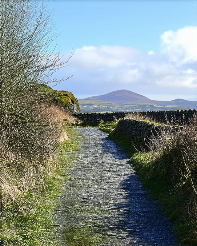 10 Secret Walking Trails in Galway City You Must Explore