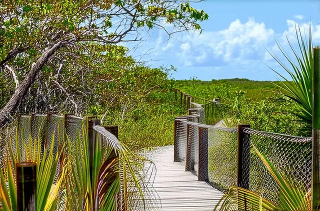 10 Undiscovered Nature Trails Near Placencia