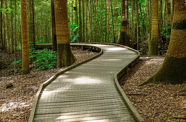 10 Unexplored Nature Trails in Puerto Princesa