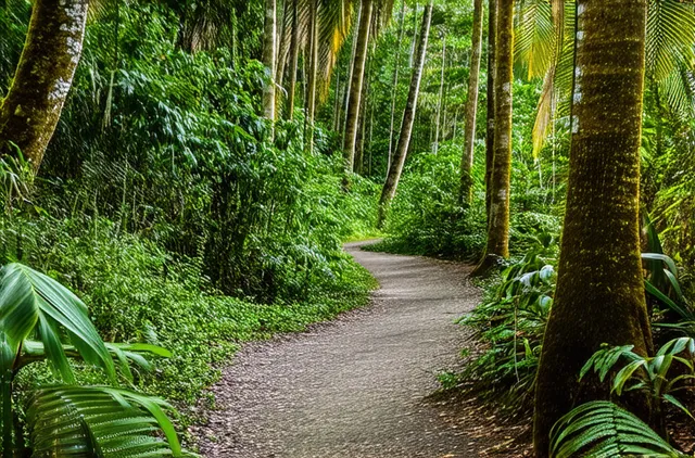 15 Unexplored Nature Trails in Rincón