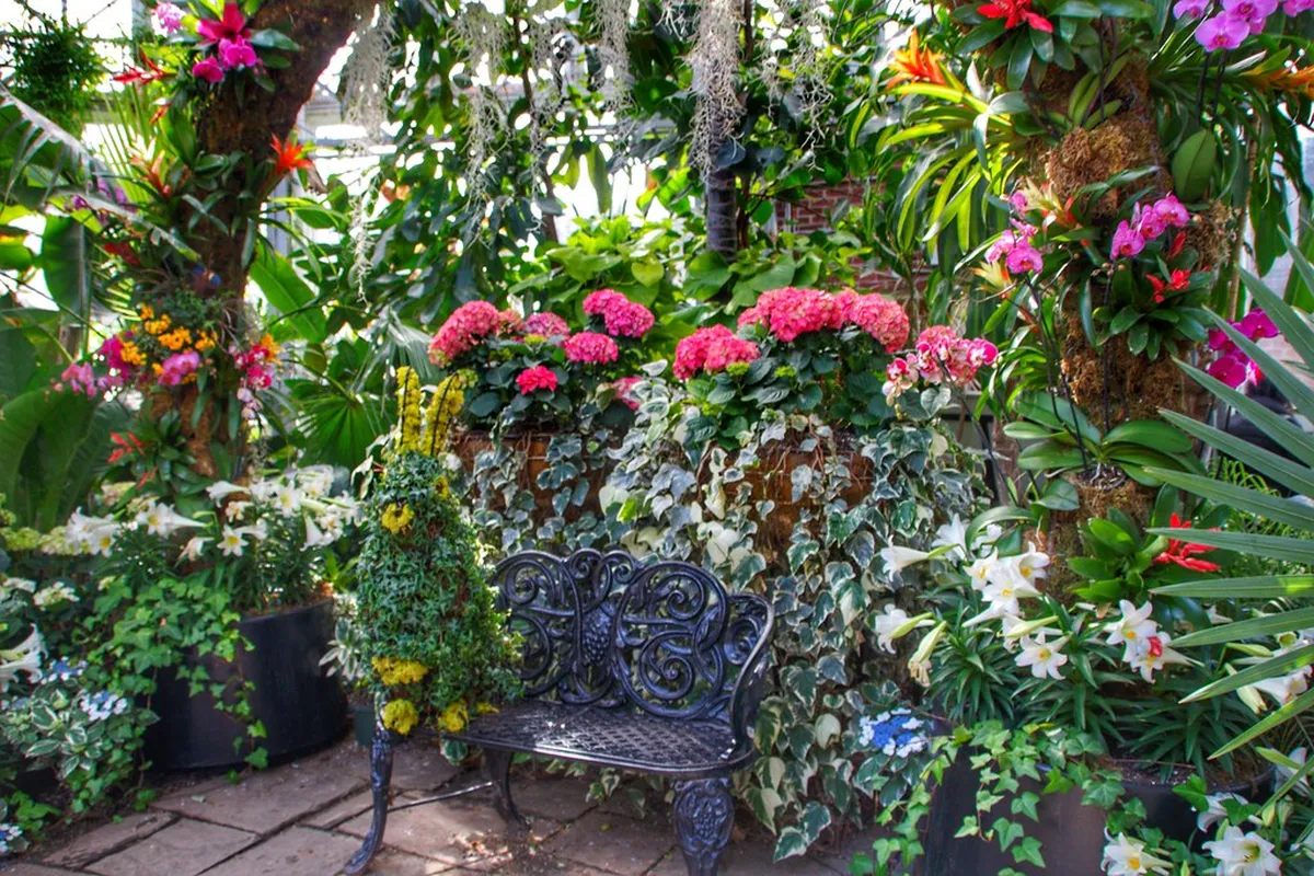 9. Allan gardens Conservatory