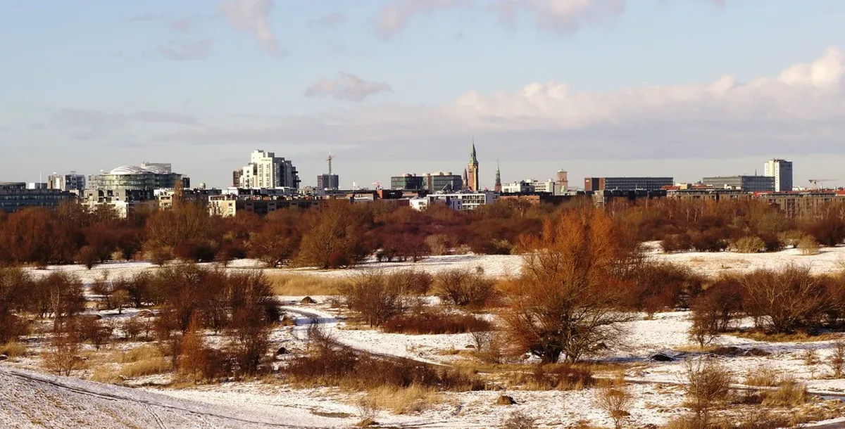 2. Amager Fælled