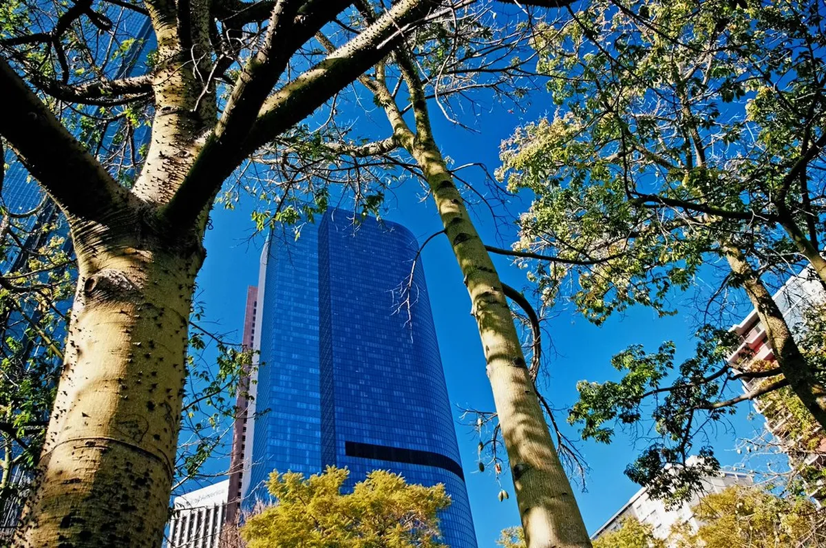 5. Angels Knoll Park