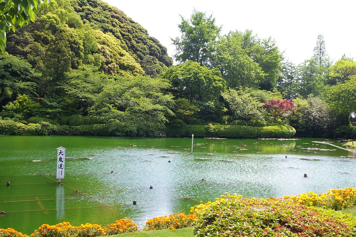5. Beppu Park
