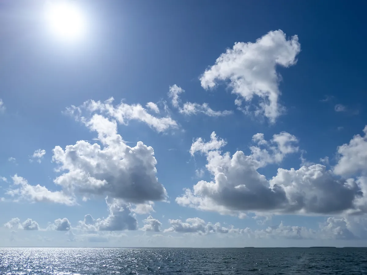 1. Biscayne National Park