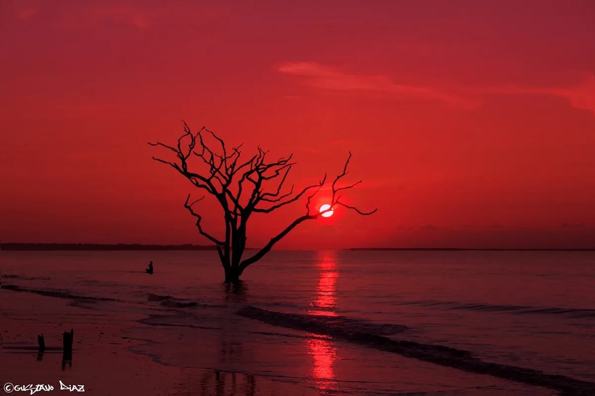 5. Botany Bay Beach