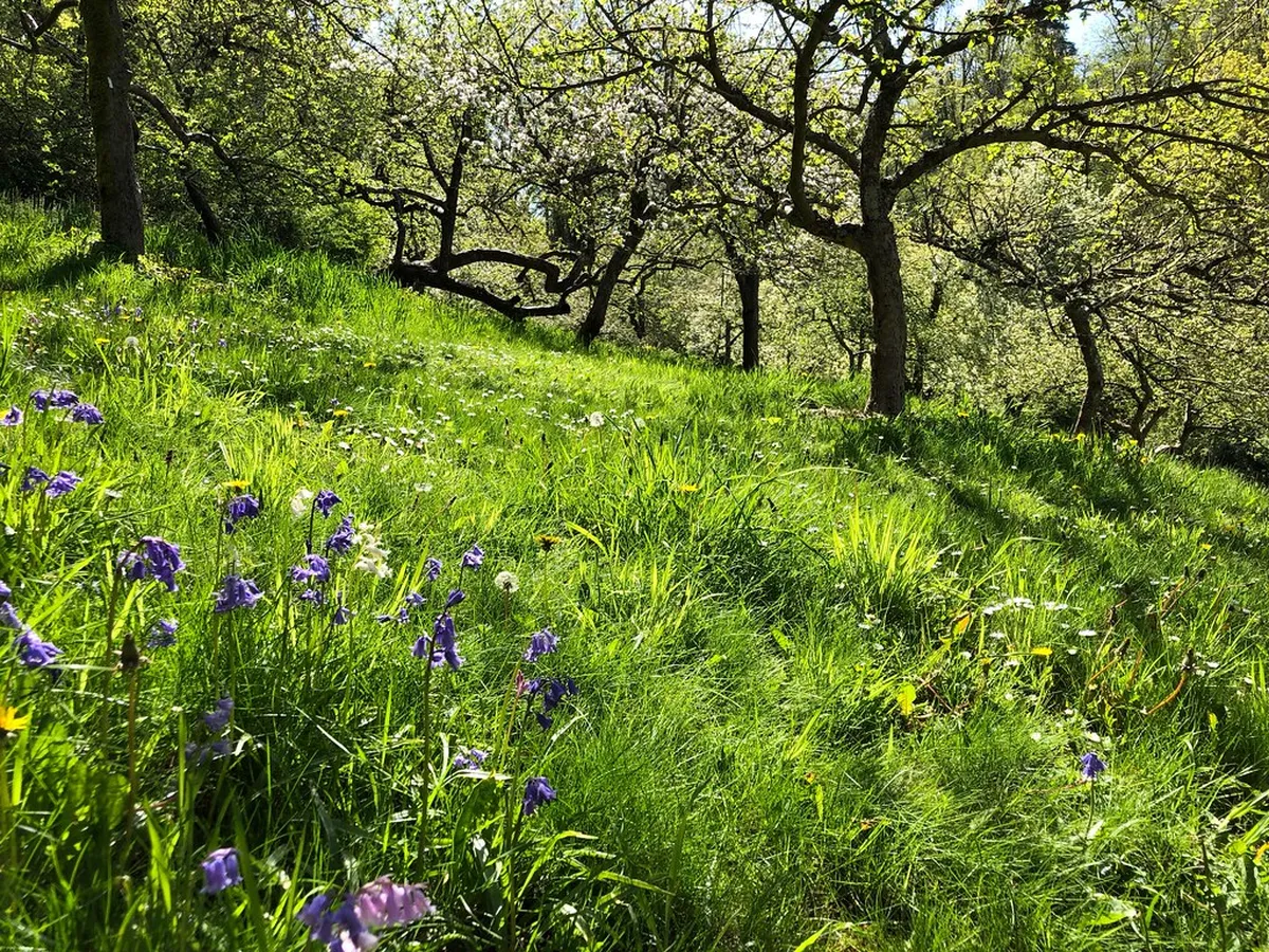 14. Carkeek Park