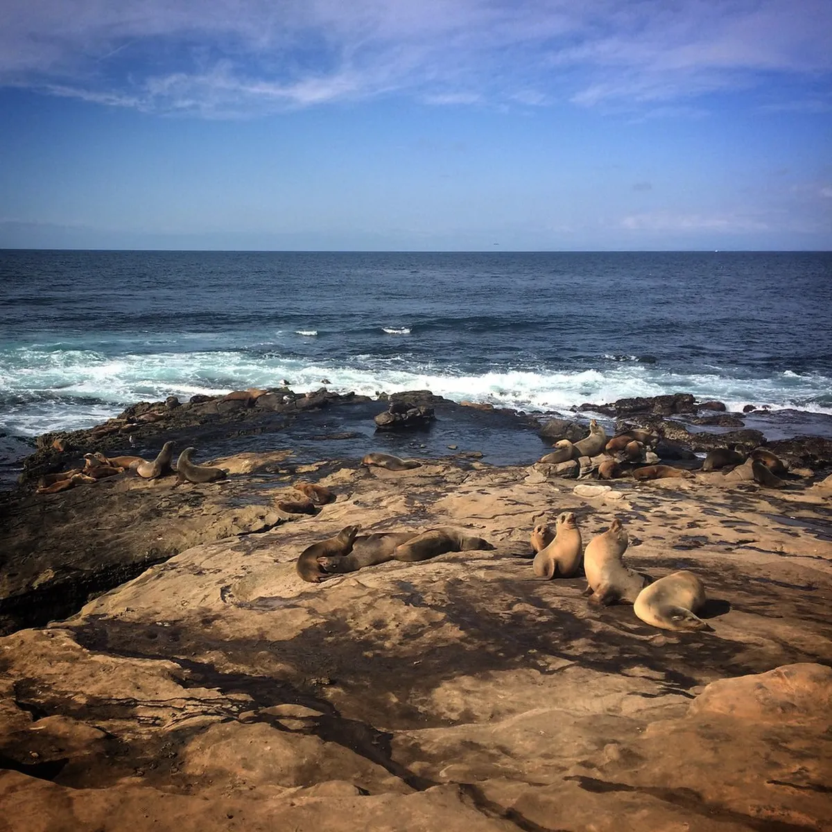 8. Children’s Pool Beach