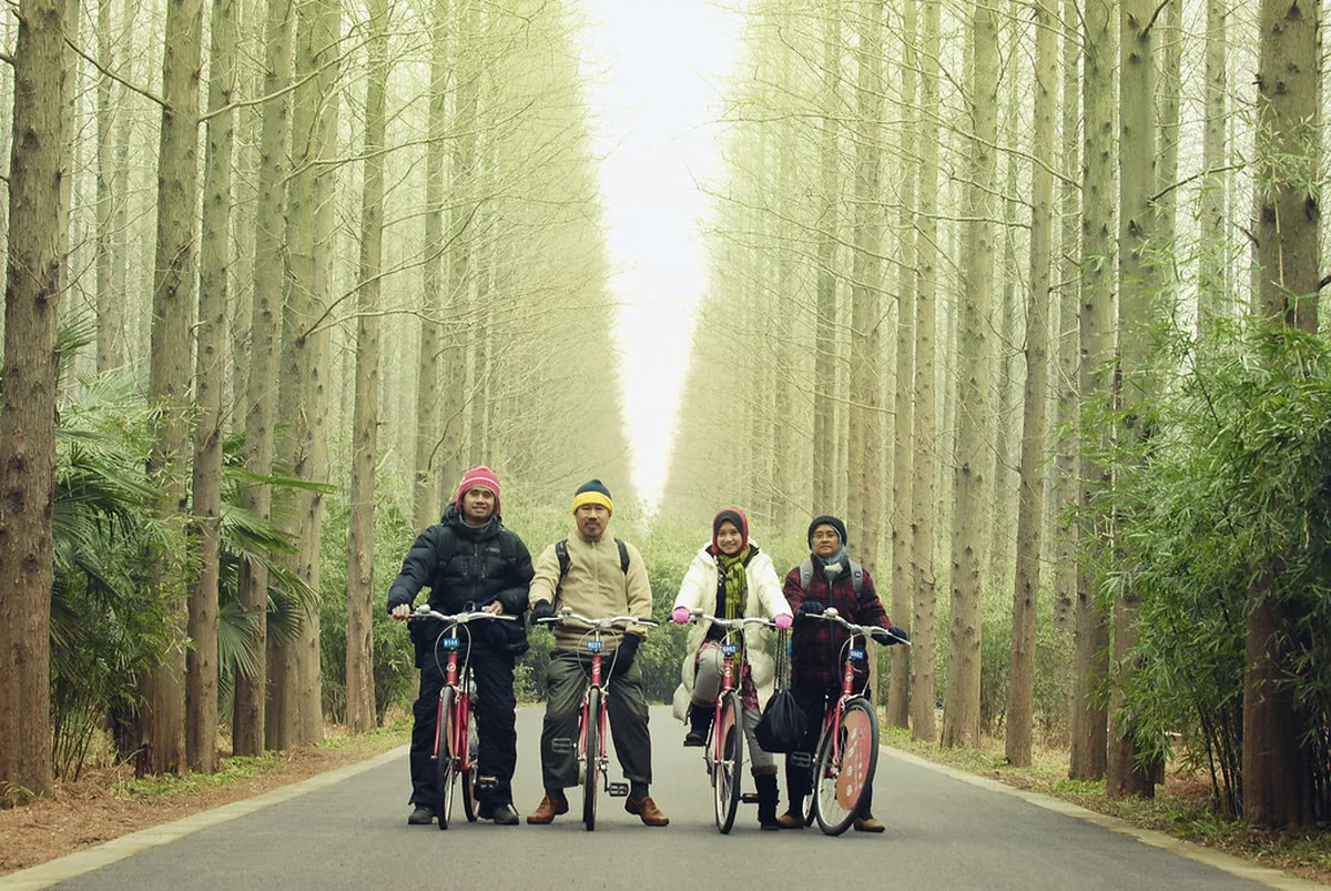 18. Chongming Dongping National Forest Park