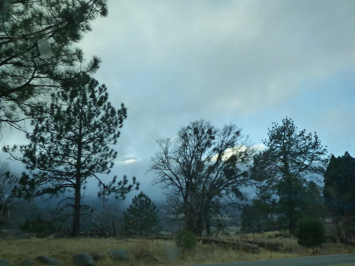 4. Cuyamaca Rancho State Park