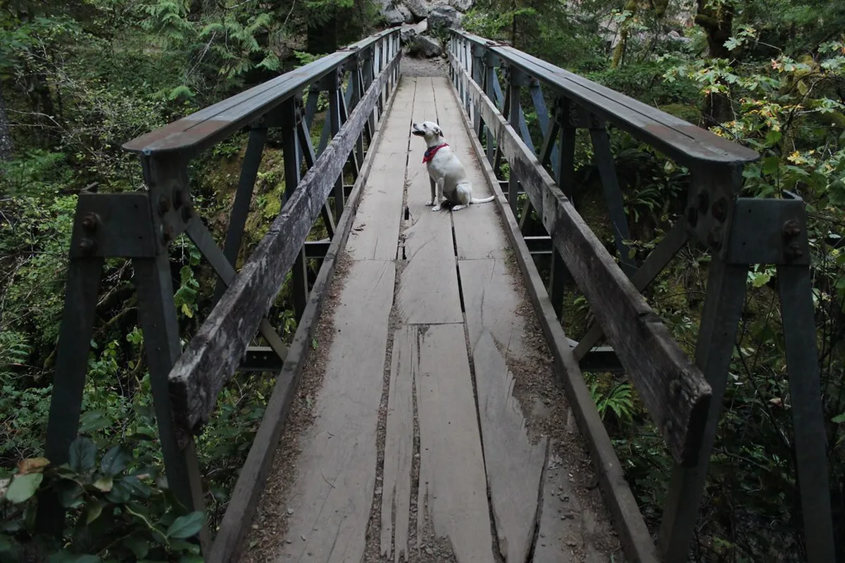 10. Eagle Creek Trail