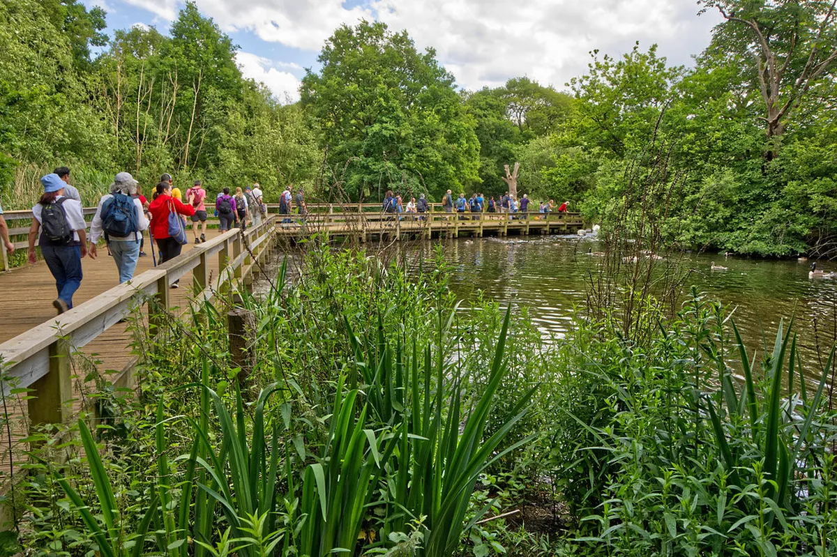 14. Epping Forest