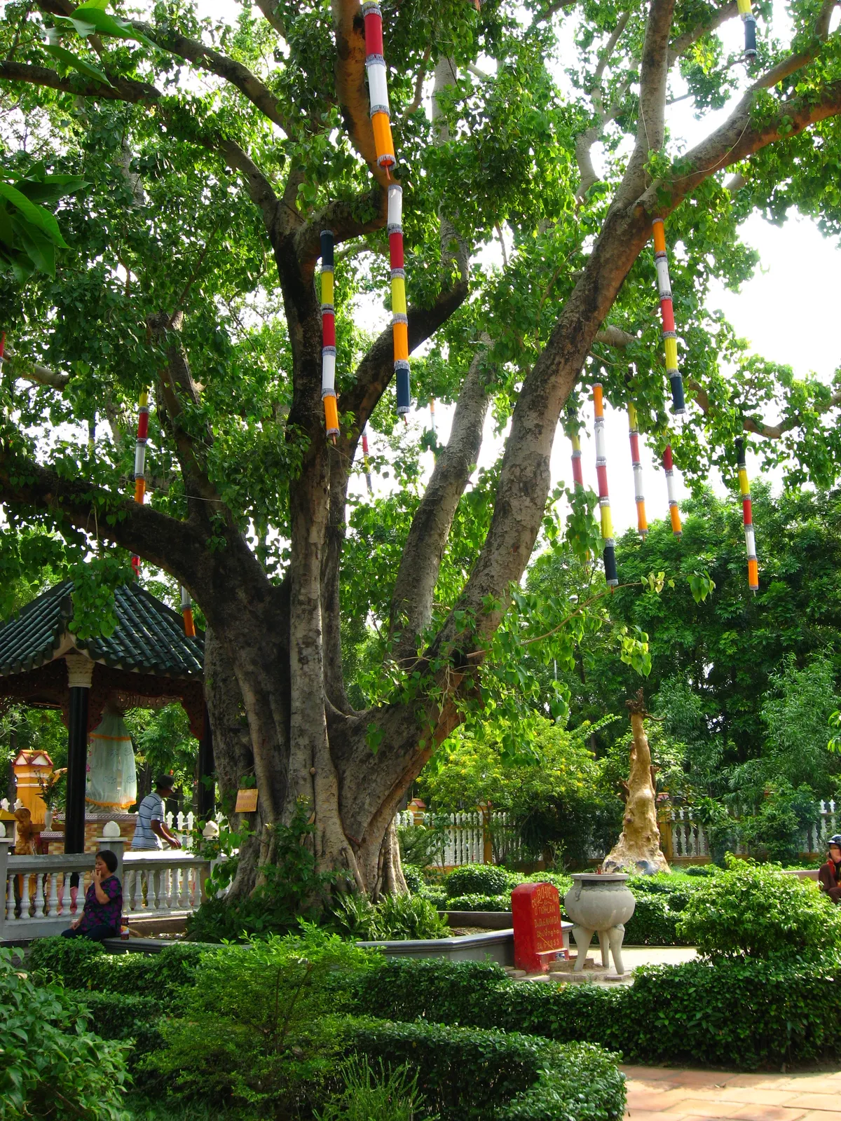 4. Giac Lam Pagoda’s Garden