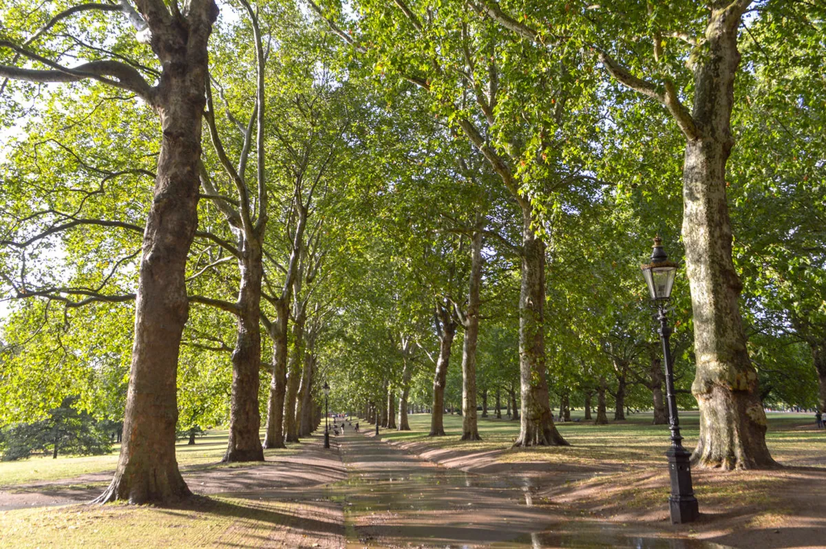 5. Green Park