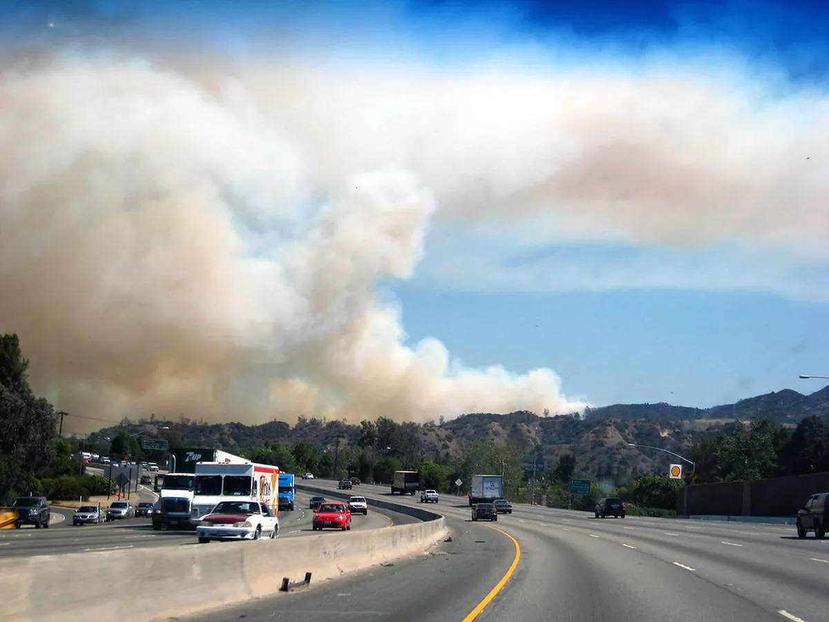1. Griffith Park Fire Road